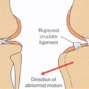 미사동물병원 이미지