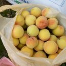 소사농장 이미지