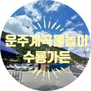 수룡캠핑장 이미지