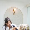애니살롱 - 강남구 봉은사로109길 22-5 | 애니살롱
