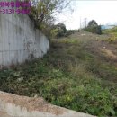 기지시리(행복) 이미지