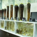 약산궁 능이버섯 이미지