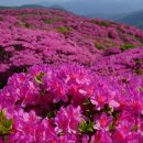 덕만주차장화장실 이미지