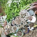 사계의들녘 이미지