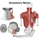 원앤원 짐 이미지