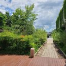 명주골 막국수 이미지