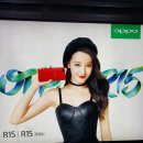 830006 | 2018/6/11~7/9 중국 실크로드 여행 - 시안/신장 우루무치 여행(3) 西安/乌鲁木齐 산시역사박물관...