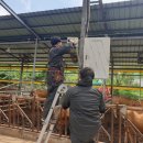 석천농장 이미지