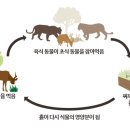 현대생활건강 이미지