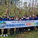 애플유통 이미지