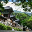 정선양떼목장 이미지