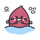 비니네일 이미지