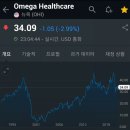 팜올리브 이미지