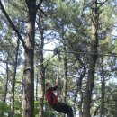 갈맷길(4-3구간) 이미지