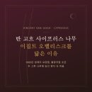 귀일정신요양원 인근 | 사이프러스(Cypresses) 리뷰