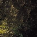 강천산모텔 이미지