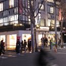 가로수길 이미지