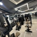 홈리복싱짐 헬스 PT | 미금복싱 체력관리 제대로 하기 좋은 홈리복싱짐 헬스 PT