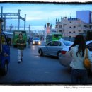 깐풍기와 탕수육 이미지