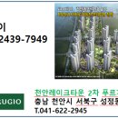 치킨마트천안