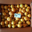 선화농원 이미지