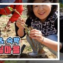 한밤실마을 Daum카페