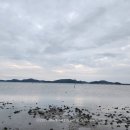 해남 여행 코스 추천 — 신비의 바닷길과 조개잡이 가능한 대죽리
