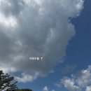 숲속애 휴가 이미지