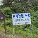노천1리 마을회관 이미지