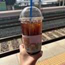 (11/25)초콜릿 컵케이크 이미지