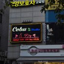 오렌즈 합정점 | [합정 술집 / 칵테일 무제한 추천] &#34;세부인보드카&#34; 방문 후기♡