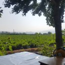 파평산농장 이미지