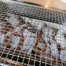 바람난장어 이미지