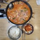 최네집 이미지