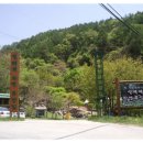 백현다리길 이미지