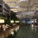 사우나 | [파크하얏트 부산] 오션뷰 부대시설 총정리｜피트니스·수영장·사우나 솔직 후기