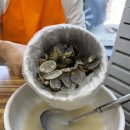 산성 당구장 | 성남 남한산성 맛집 [오대오바지락칼국수] 내돈내산 5번째 방문 후기