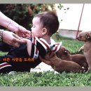 (주)중앙바이오텍 이미지