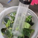 한얼농장 이미지