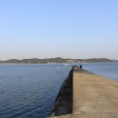 안산-대부-대부-4 이미지