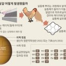 농업회사법인 고산 이미지