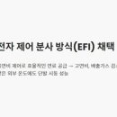 디엔에이 티스토리