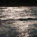 해미축산 이미지