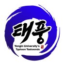 용인대 태풍 태권도장 이미지