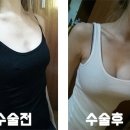 모티바 Daum카페