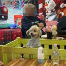 봉화재 반려견놀이터화장실 | 서울근교 애견카페 : 개떼놀이터 남양주 애견운동장 강아지놀이터 펫 반려견