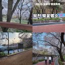 부천둘레길3코스 | 부천 벚꽃 도당산 벚꽃축제 후기 부천 둘레길 꽃구경 데이트 코스 추천