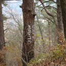 외씨버선길(영양연결구간) 이미지