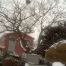 이서면사무소 앞 이미지