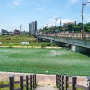 군민체육공원 인라인스케이트장 이미지